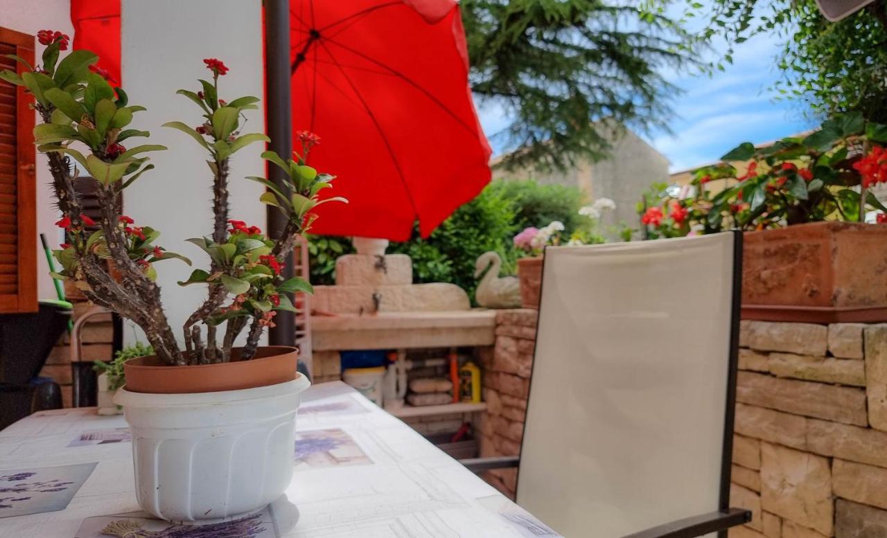 Appartamento Valentino Novigrad Istria Esterno foto