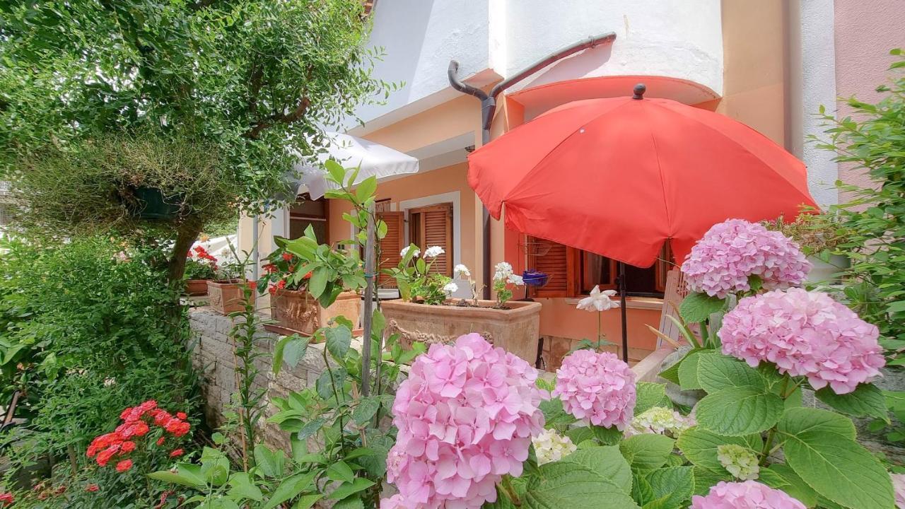 Appartamento Valentino Novigrad Istria Esterno foto